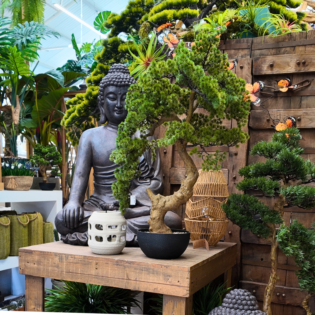 Benvinguda primavera: Una explosió de color al nostre Garden!